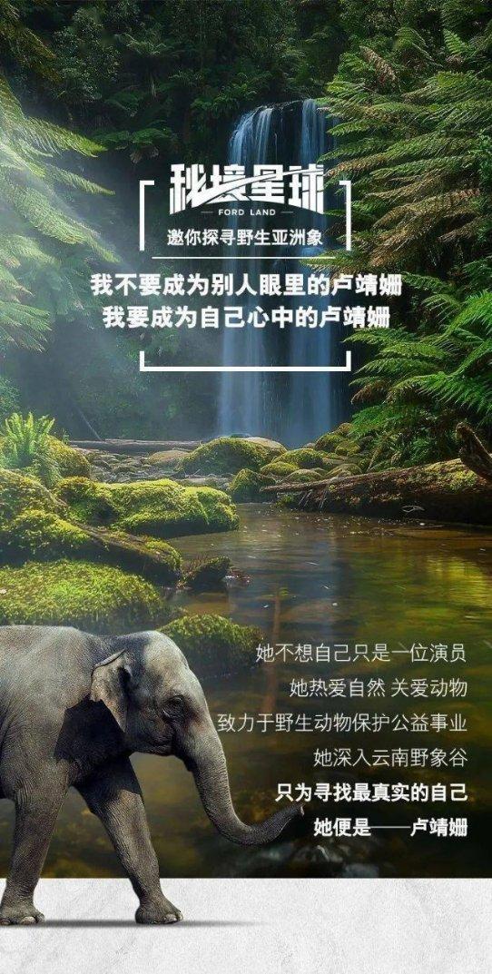 杨紫新剧收视破1.8，口碑炸裂，都市剧又有天花板了！